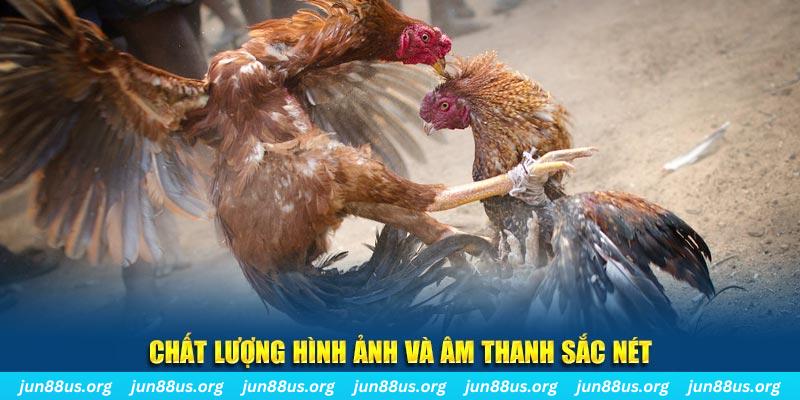 Chất lượng hình ảnh đẹp