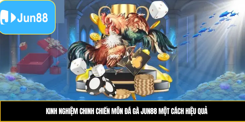 Kinh nghiệm chinh chiến môn đá gà Jun88 một cách hiệu quả