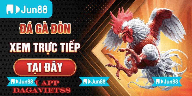 App đá gà trực tiếp Jun88 hỗ trợ mọi thao tác từ xem trận, xem kèo đến theo dõi kết quả dễ dàng