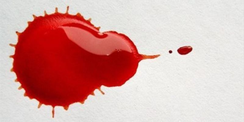 Mơ Thấy Máu Đánh Con Gì – Jun88 Giải Mã Chuẩn Tài Lộc 2025